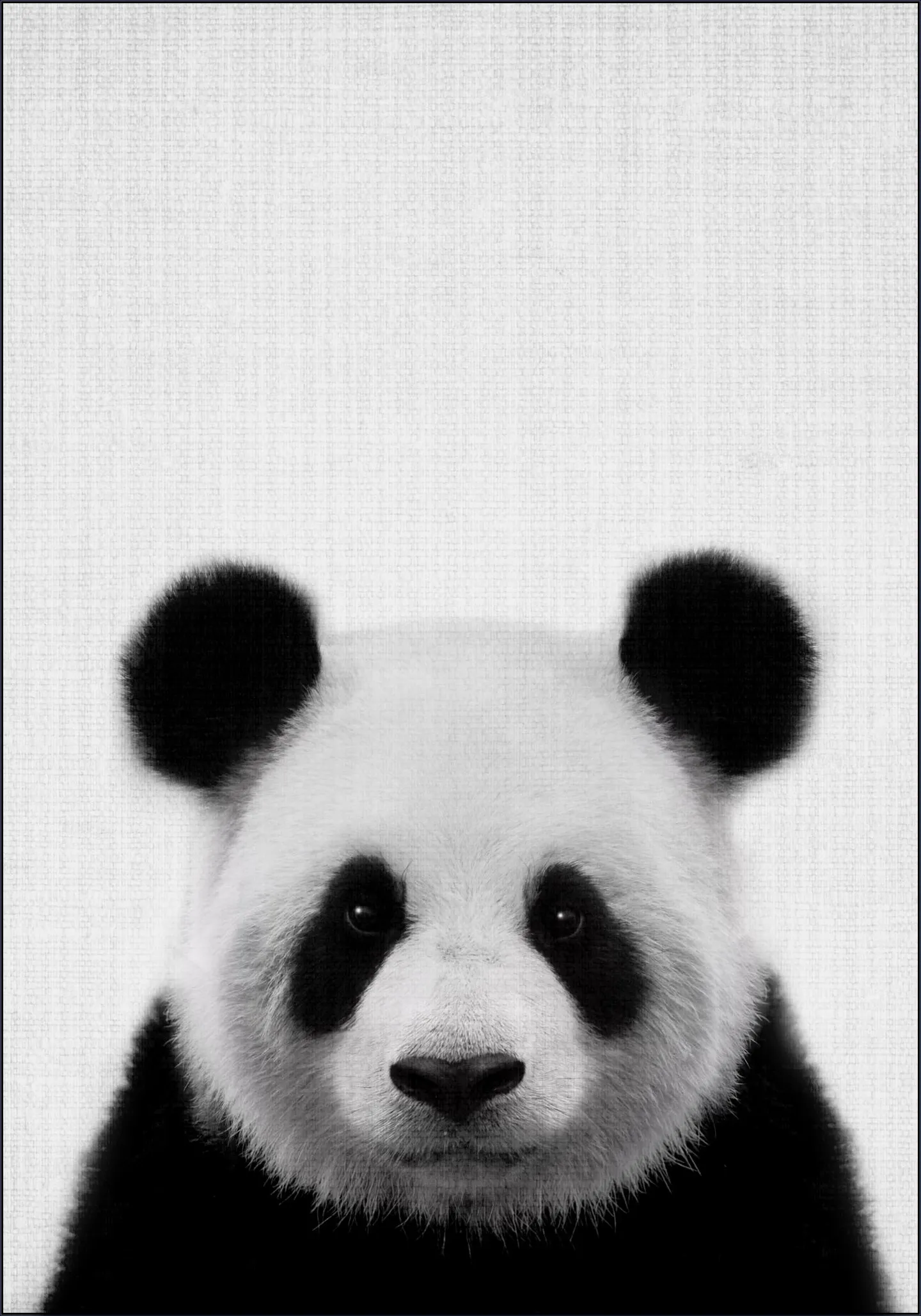 Print 61 Panda