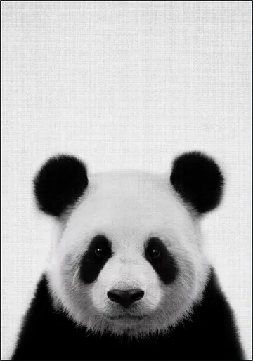 Print 61 Panda