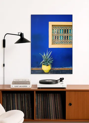 Yellow and Blue Agave
