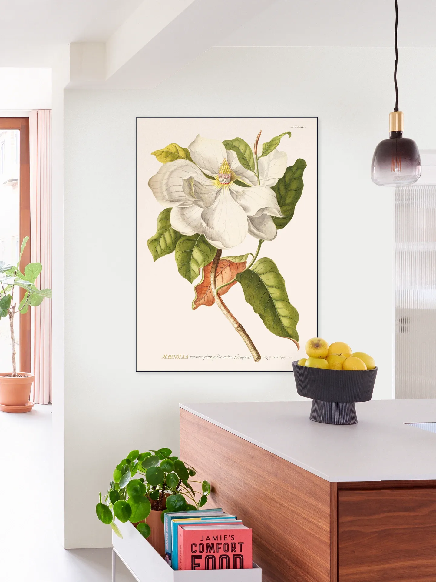 Magnolia