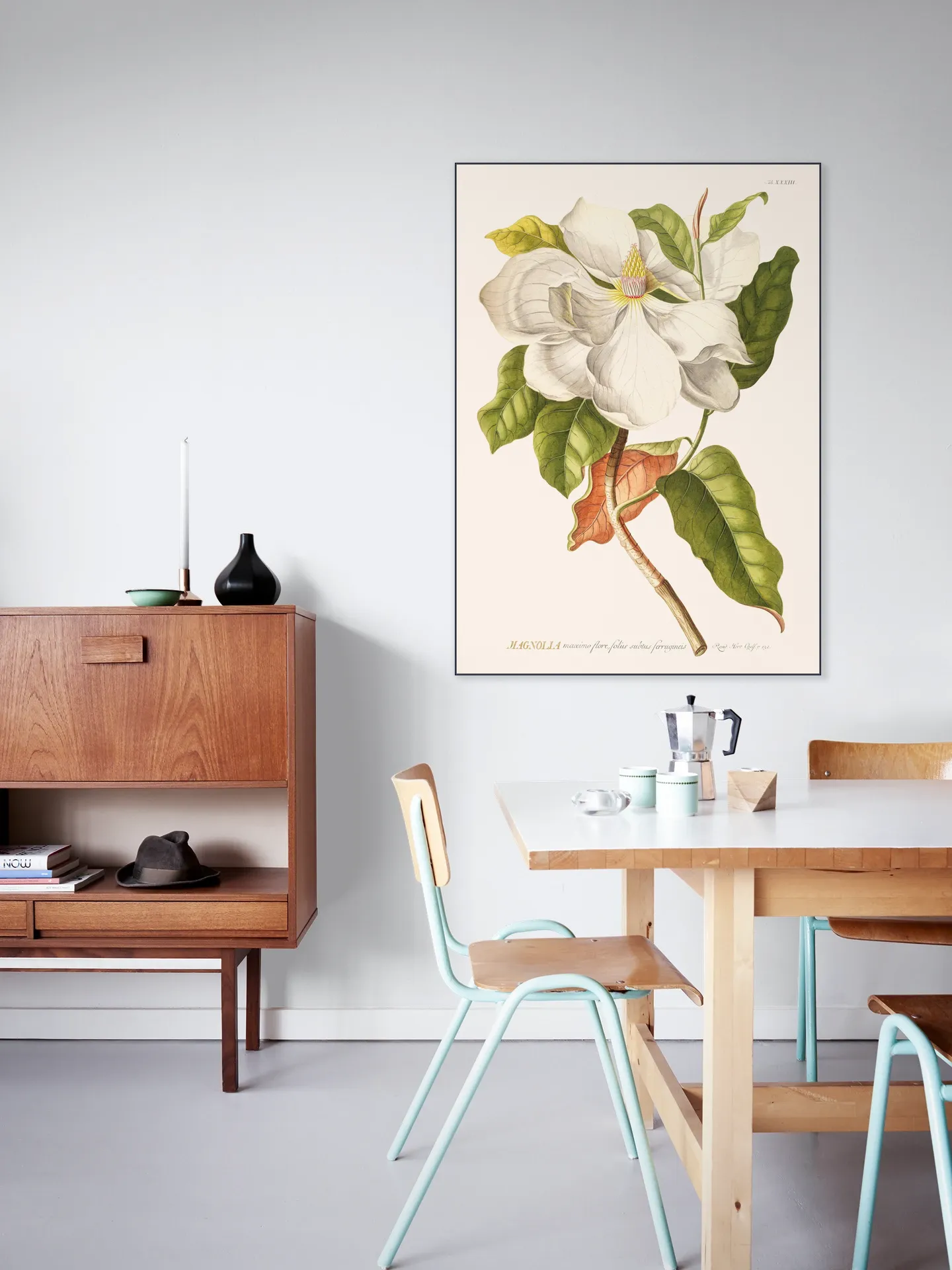 Magnolia