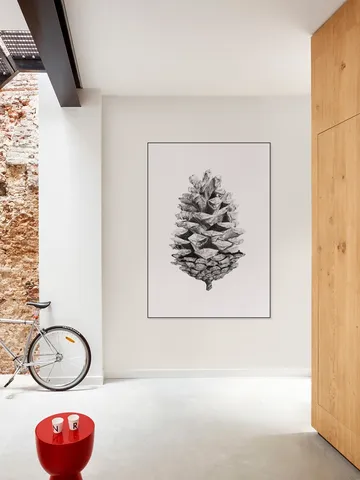Pinecone