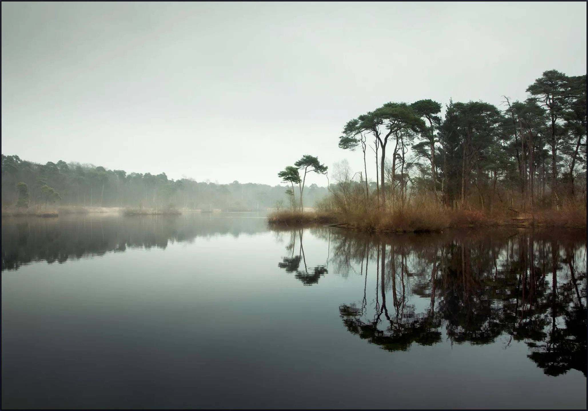 Silence at the lake 