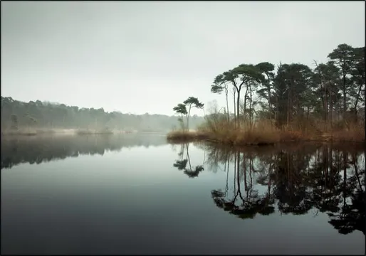 Silence at the lake 