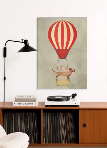 Dachshund with airballoon