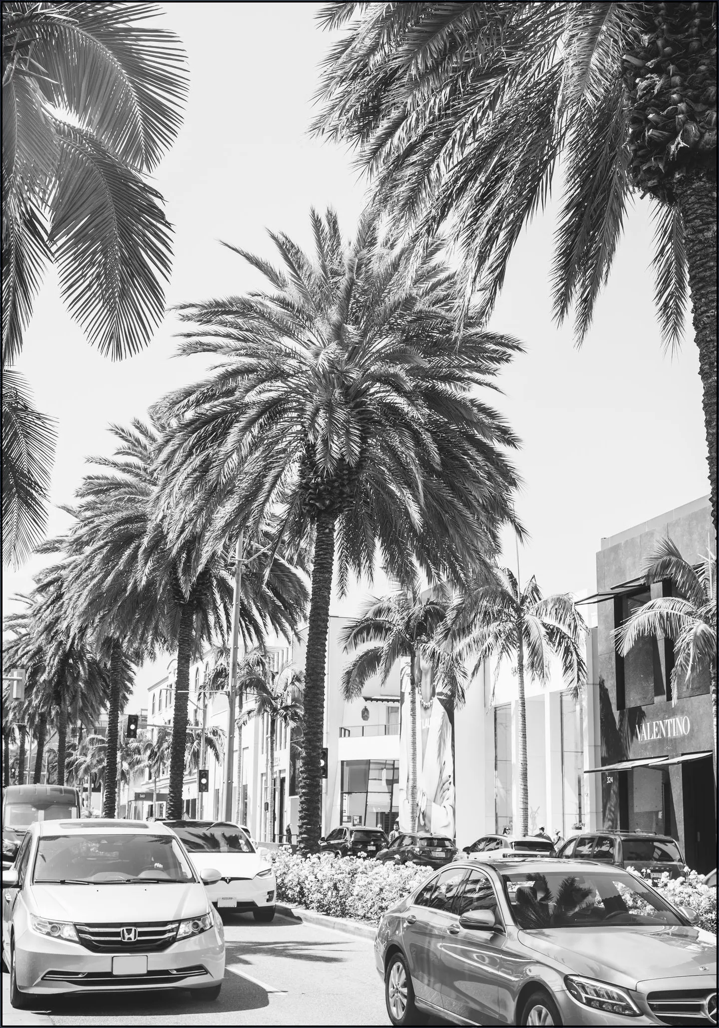 Rodeo Drive