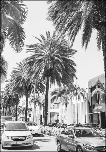 Rodeo Drive