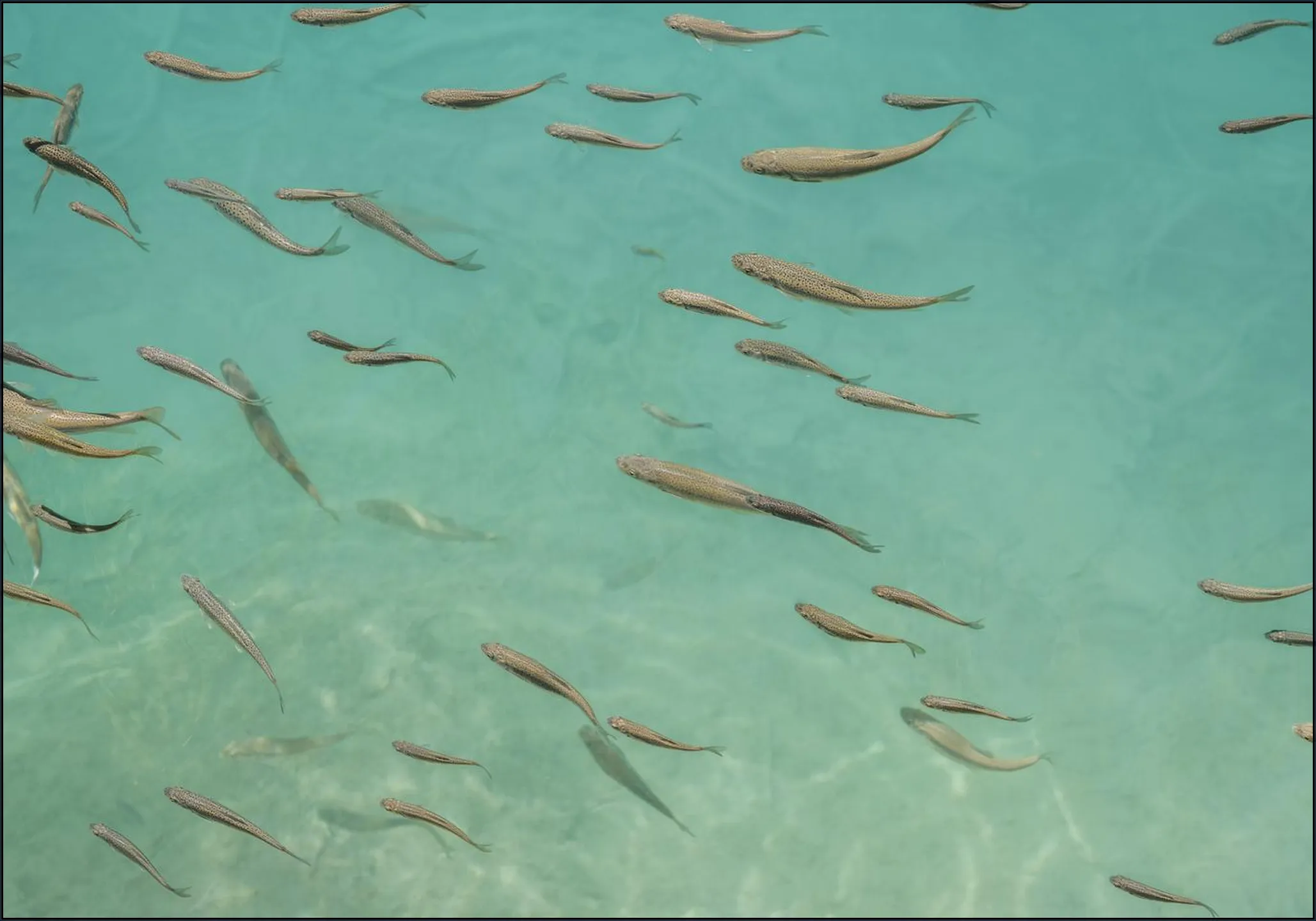 Fishing In China