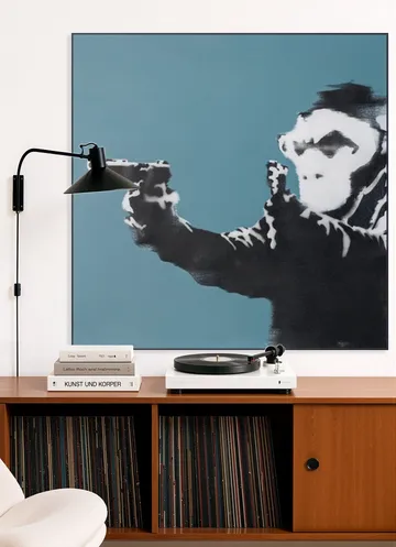 Monkey Gun