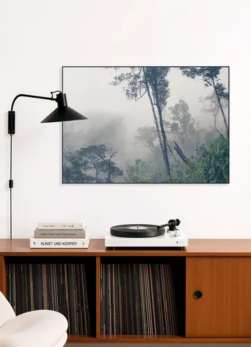 Trees in the Fog