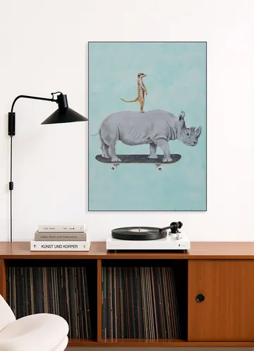Rhinoceros and meerkat skateboarding