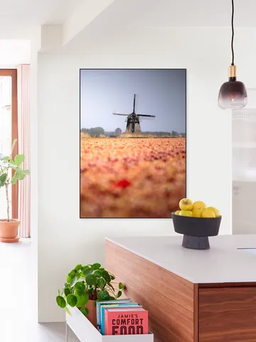 Windmill in Bloom