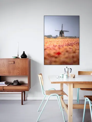 Windmill in Bloom