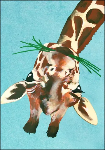 Giraffe upside down