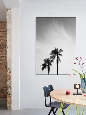Palms In The Middle East