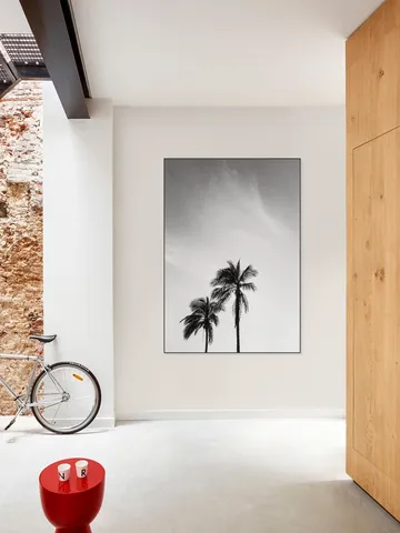 Palms In The Middle East