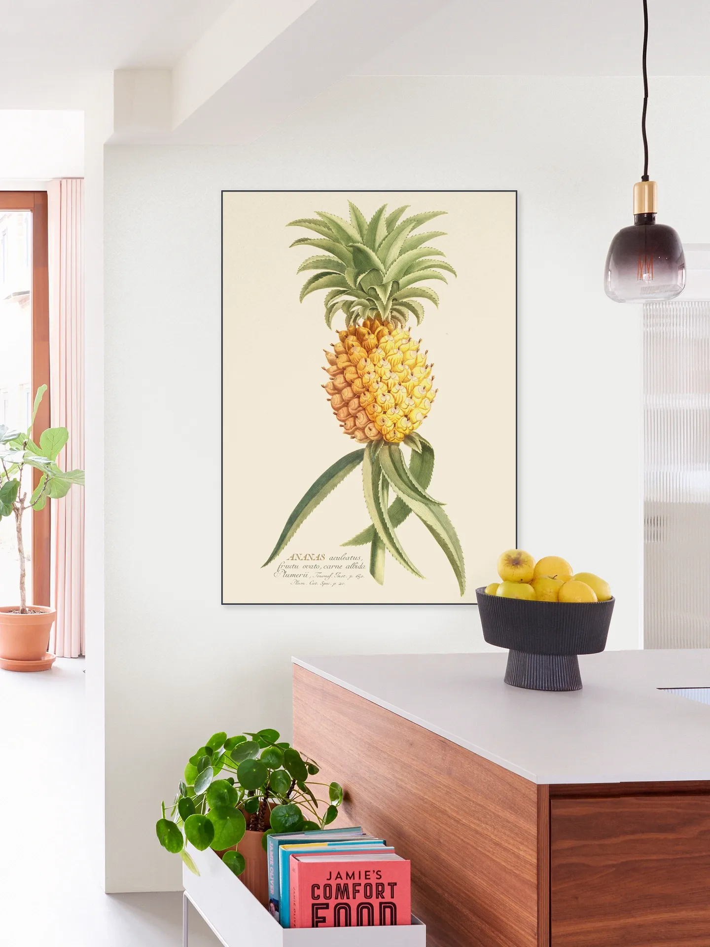 Ananas 2