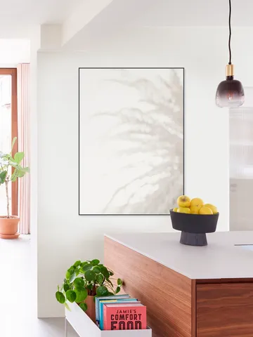 Palm 008