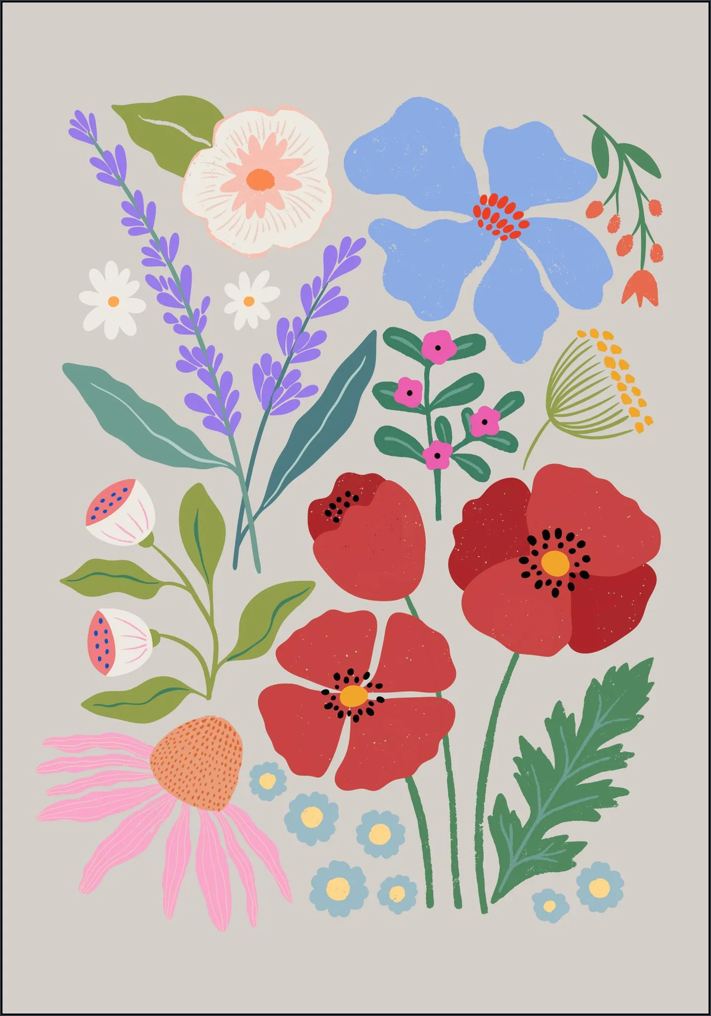 Poppies and Lavender Meadow