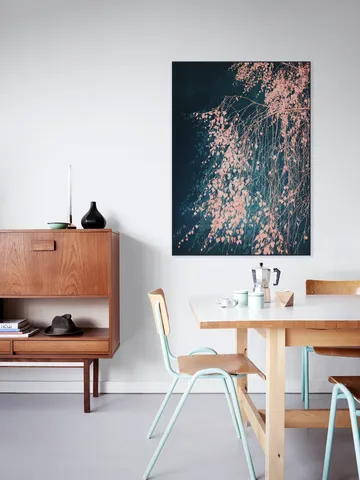 Silver Birch Tree pink