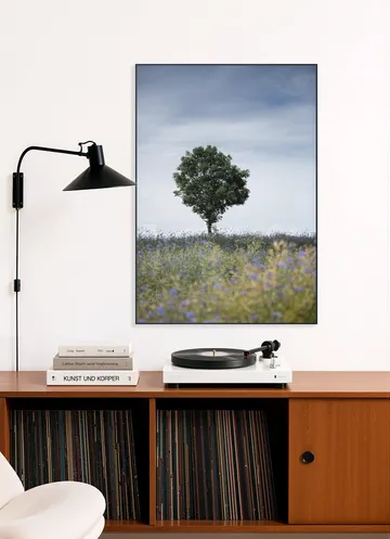 Summer Meadow