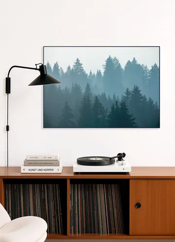 Mystical Forest
