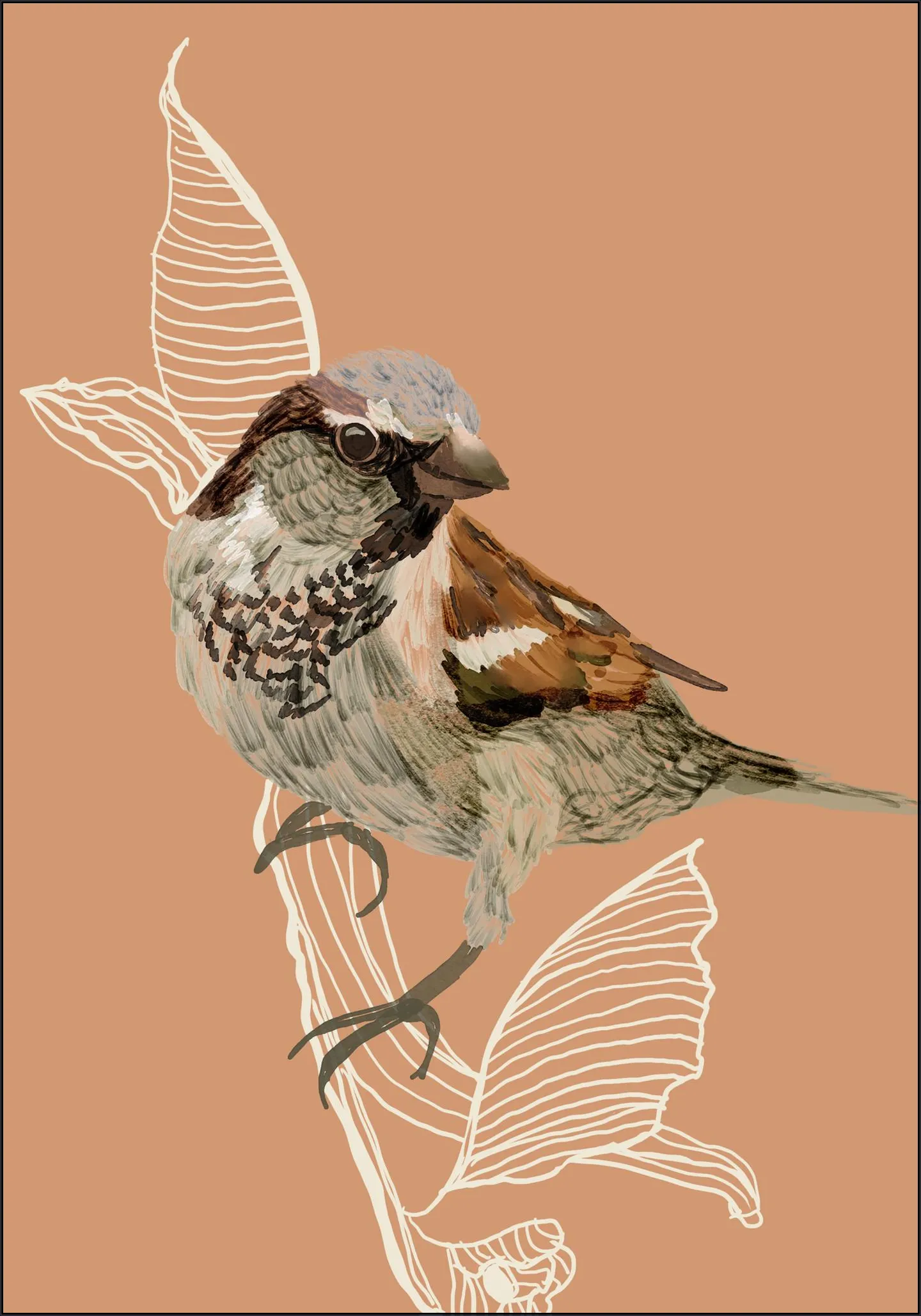 Sparrow