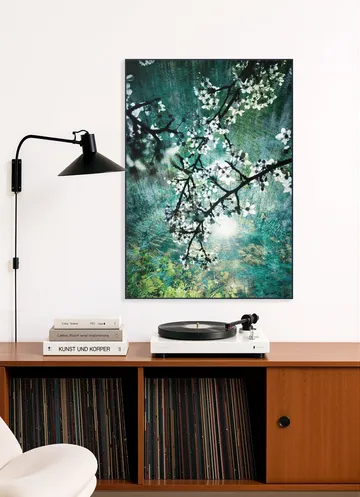 Blooms over Water