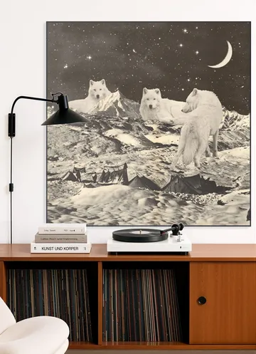 Giant White Wolves