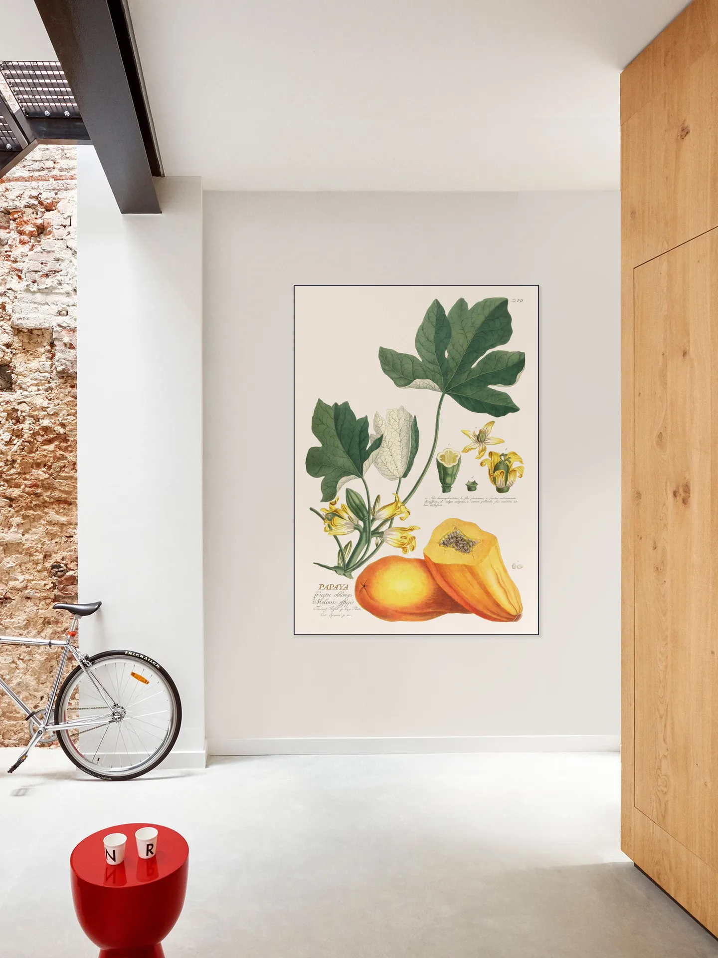 Papaya