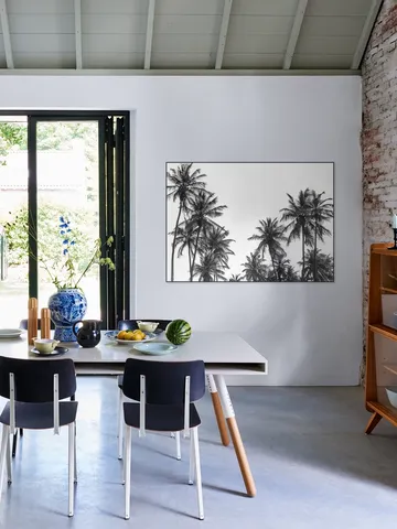 Palm Trees in Africa