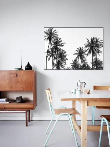 Palm Trees in Africa