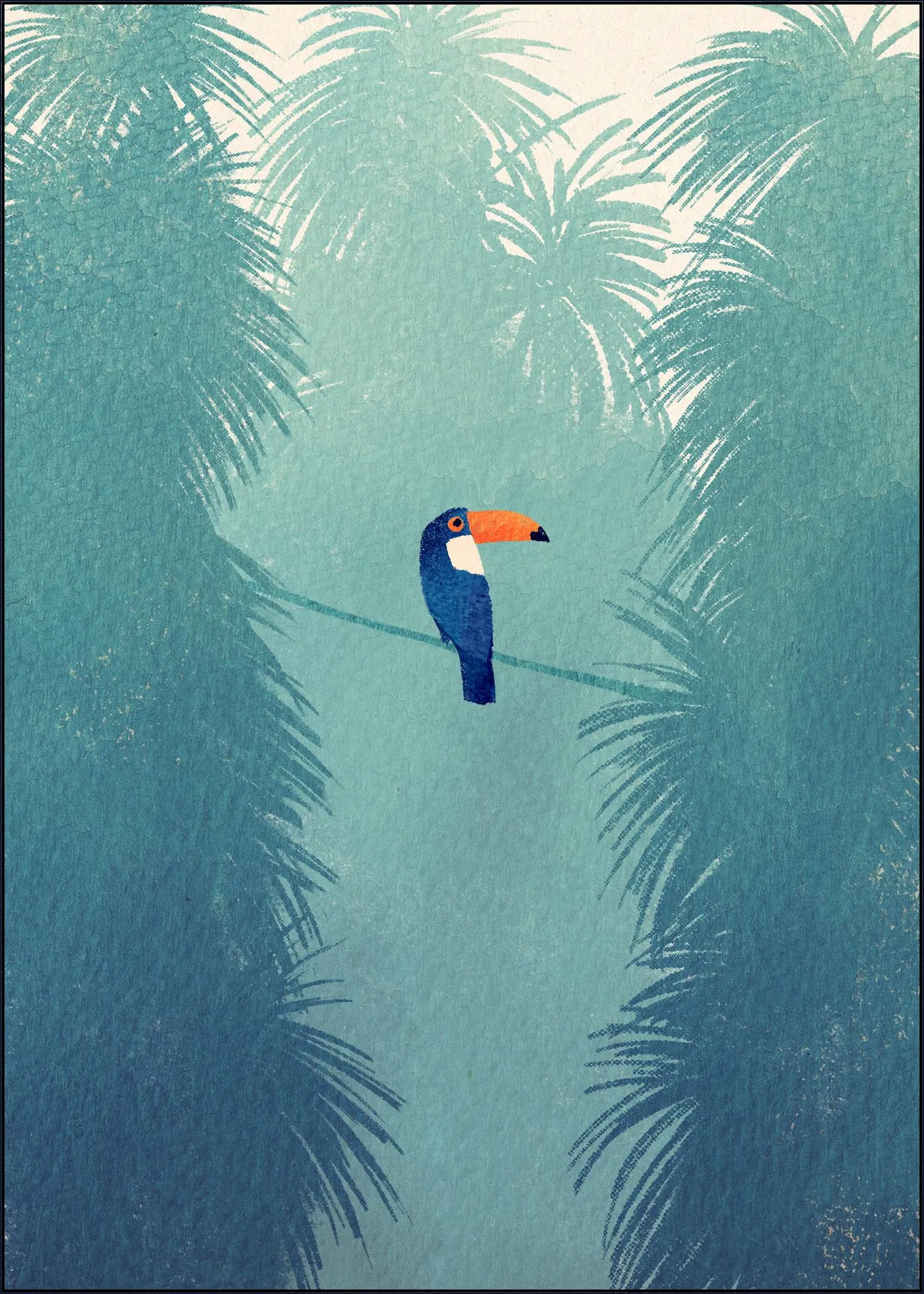 Toucan