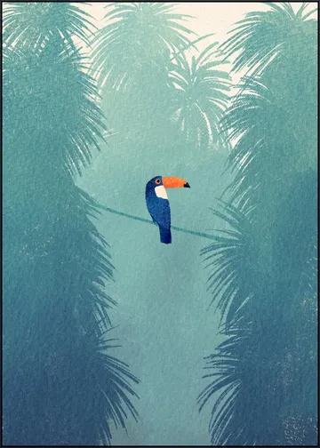 Toucan