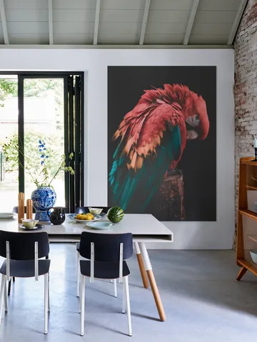 Bashful Beauty Parrot