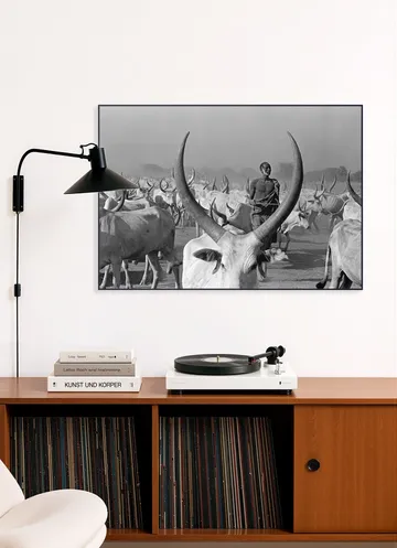 Dinka Cows with Pastor