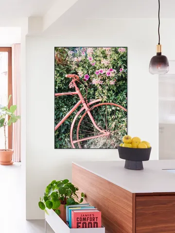 Pink Bicycle