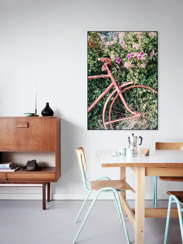 Pink Bicycle