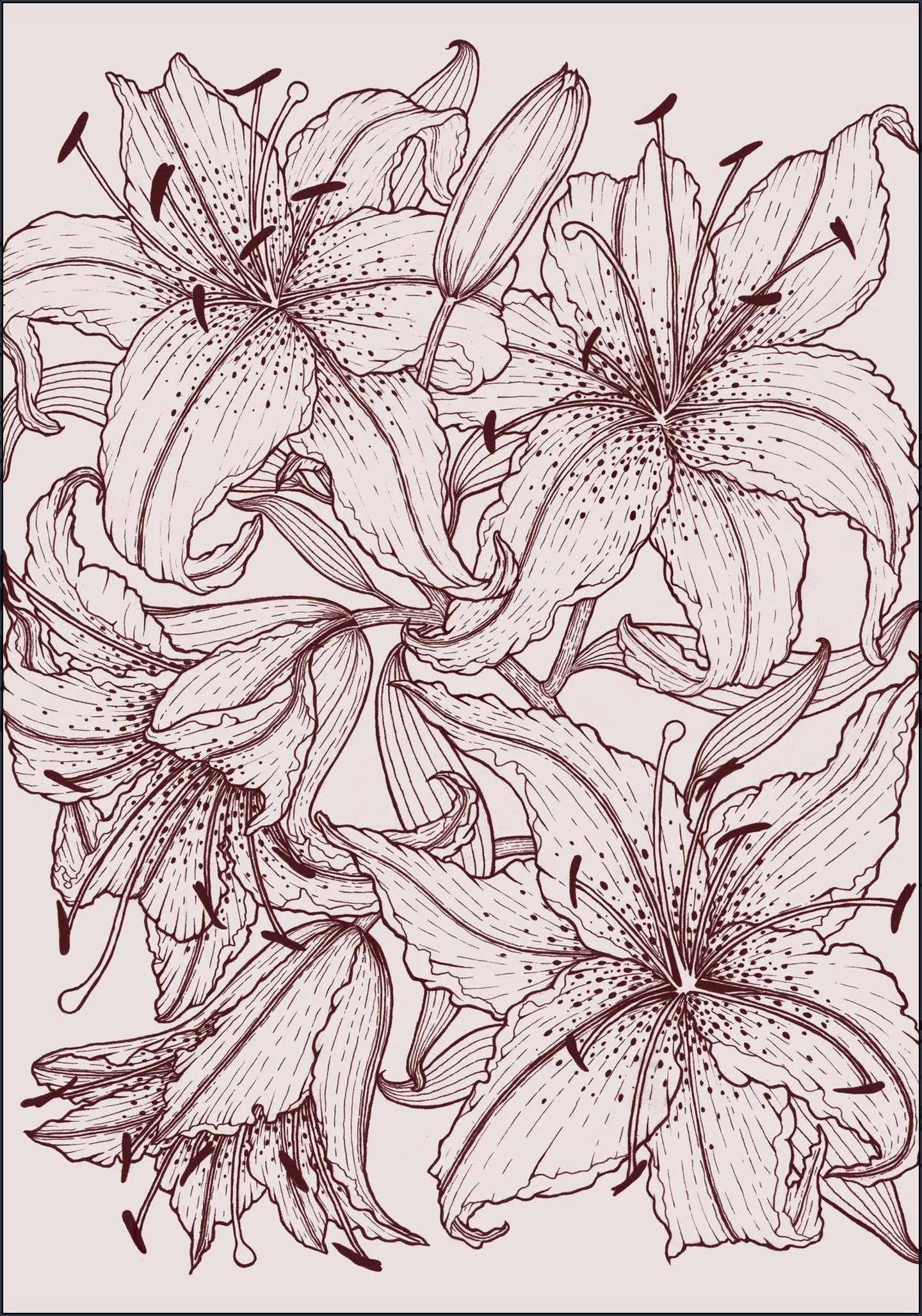 Lilies Pink