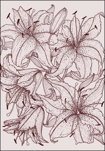 Lilies Pink