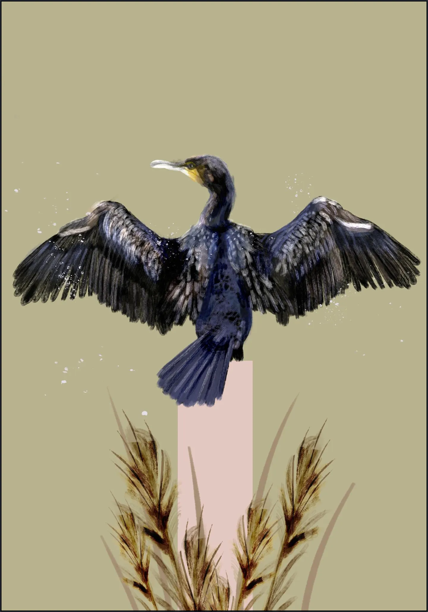 Cormorant