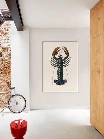Homard