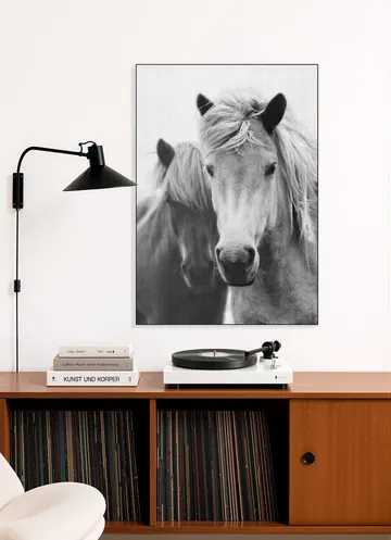 Print 180 Horses