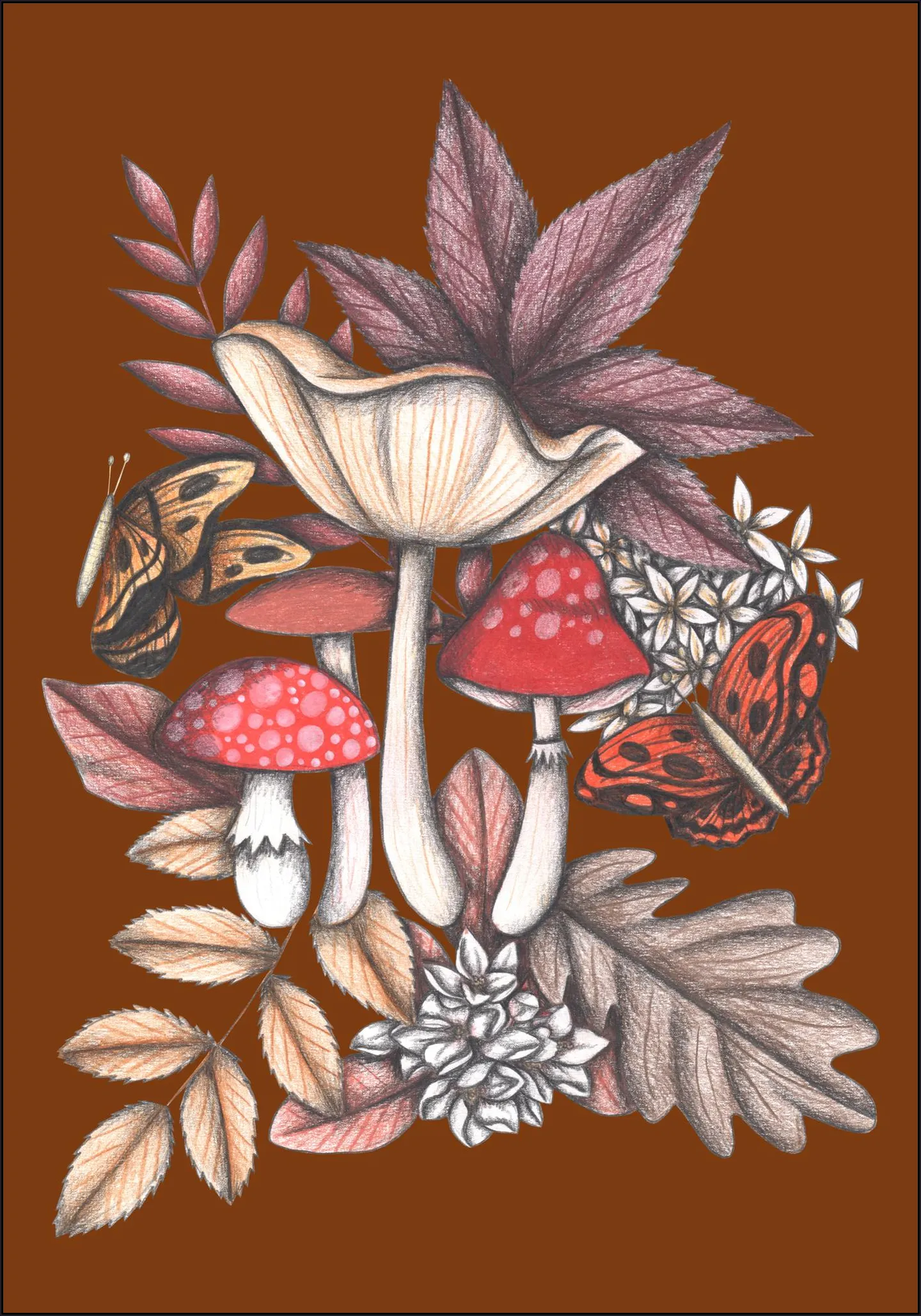 Mushrooms Magic 3