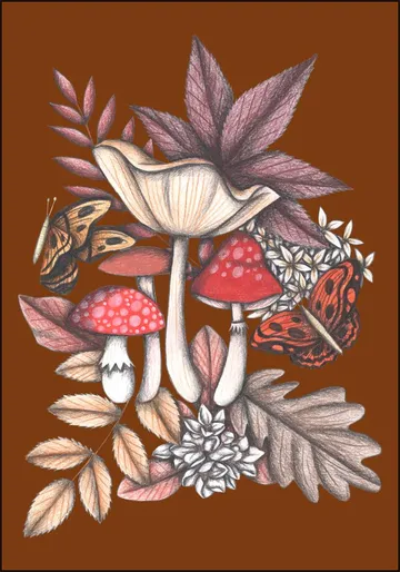 Mushrooms Magic 3
