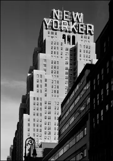 New Yorker