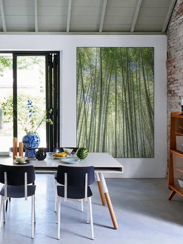 Bamboo Forest