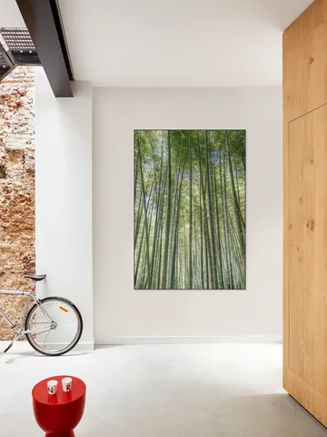 Bamboo Forest
