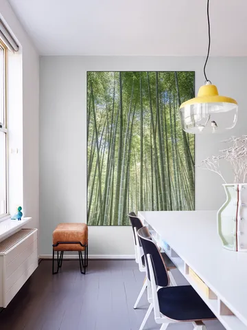Bamboo Forest
