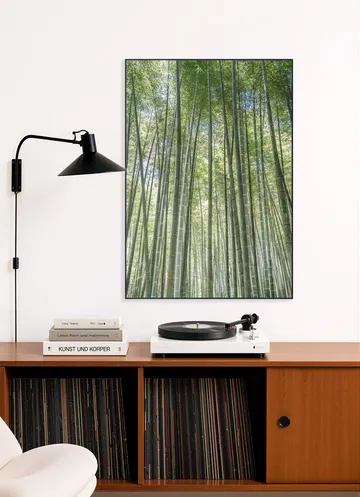 Bamboo Forest